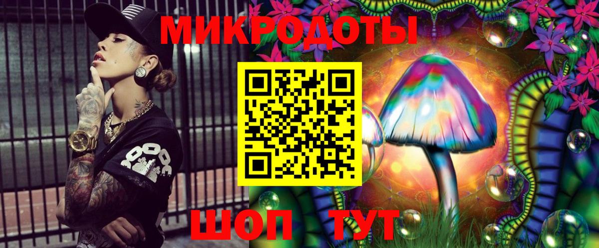 Галлюциногенные грибы Psilocybine cubensis Томск